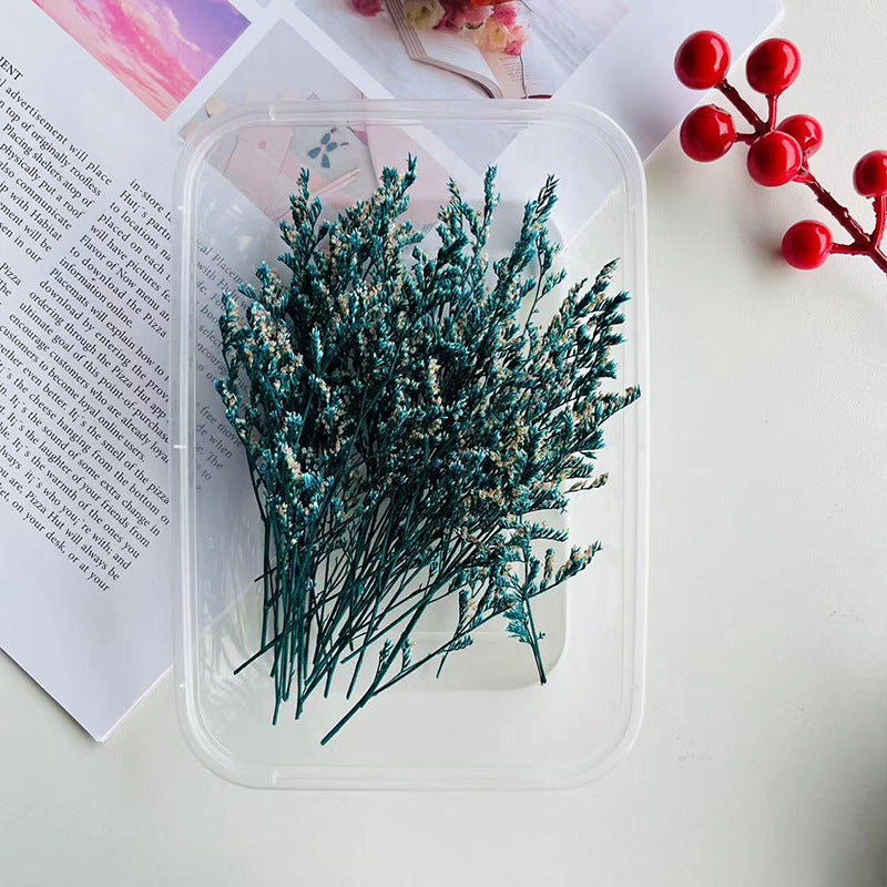 Wholesale Dried Fruit Cinnamon Dried Flowers Diy Material Package Natural Plant Candle Handmade Plaster Making Decoration